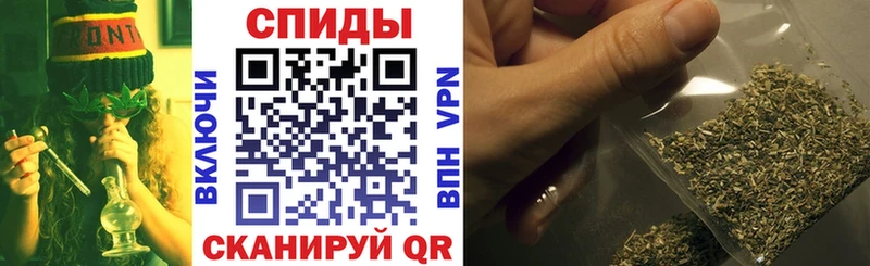 БУТИРАТ буратино  Купить где  Нижний Новгород 